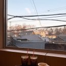 한국통닭 | [아구일번지, 비틀스타코, 라르티스타, 한국통닭] 종로 맛집 투어 내돈내산 솔직후기