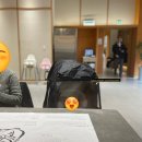 푸른숲리조트(신관) | 5개월 아기와 함께한 곤지암 리조트 화담숲 맛집 - 3
