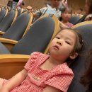 노원구민의전당 | 노원구민의전당 뮤지컬 백설공주 좌석 팁!