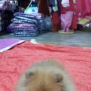 용신상회