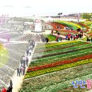 새천년여행사 Daum카페