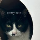 손님구함 이미지