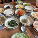 두둥실 청둥오리 이미지