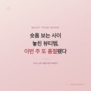 (주)아성다이소 성대시장점 | 숏폼 보는 사이 놓친 뷰티템, 이번 주 또 품절됐다