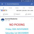 세이브마트(SAVE MART) 이미지