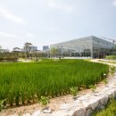 대보축산 이미지