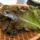 쌍둥이 돼지국밥 Daum카페