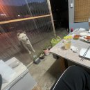 월오포레스트 | 청주 촌캉스 숙소 ‘월오 포레스트’ ૮꒰ྀི⁔• ༝ •⁔꒱ྀིა 🏍³₃ ³| 청주여행 | 청주 숙소 추천 | 촌캉스...