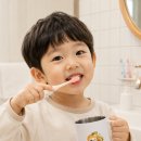 어린이집 유치원 양치컵 추천 | 스텐 304 엘리미 멀티컵 220ml 제작 후기 (일산엘림창작소)