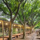 다우리팬션 이미지