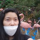대웅주유소 | [안산여행] <안산별빛마을 포토랜드> 방문 후기(상록구 가볼만한 곳!)