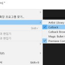 컷백(Cutback)