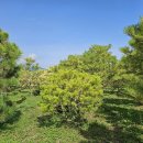 개성농장 2 이미지