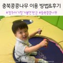 충북콩콩나무 예약 방법 및 이용 후기 - 2,000원에 이용 가능한 육아종합지원센터 청주 베이비카페(청주...