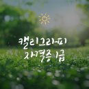감성 먹 캘리그라피 | 캘리그라피 자격증 1급 손글씨로 힐링과 제2의 커리어 만들기