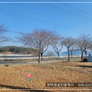 경남고성부동산 - 하일면 바다 전망의 전원주택지 토지매매 2615제곱미터 (792) 이미지