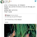 사진 한장이 만든 문학 이미지