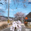 대가야호스텔 이미지