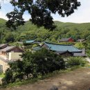 도선동천 이미지