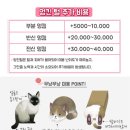 미용집사 이미지