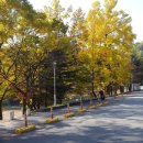 춘하추동한의원 이미지