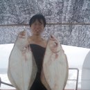 수원-0364 이미지