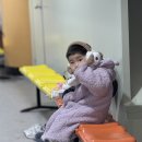 영화태권도체육관 | 20260414 :: 두달만에 쓰는 일상(짜투리 기록)