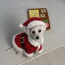 보경마트 | 까불지 마세요 내년엔 성공할 거니까