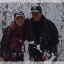 대영공업(주) Daum카페