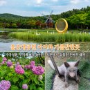 장생포풋살경기장(평일,하절기) | 울산대공원 아이와 가볼만한곳 수국정원 소풍마루 무지개 그물 놀이터 동물원 은여우