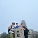 자연과 함께하는 무더운 여름