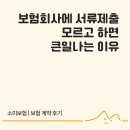 소미실비