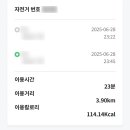 데이지데이 이미지