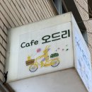 오드리앤틱 | 수원 광교오드리카페,오드리카페광교, 솔직 담백 후기