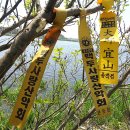 장안웃길 이미지