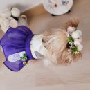 손바느질 생활한복 만들기 이미지