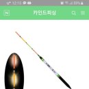 바다 전자 막대찌 ?? 이미지