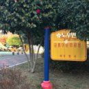 사림동117 이미지