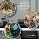 포레 스테이 이미지