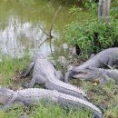 정복농장 이미지