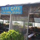 들꽃이 있는 바다 이미지