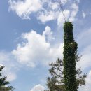 행복샘농장 이미지