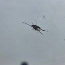 내돈내산) 고속도로 돌빵 앞유리 복원 후기