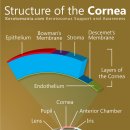 24시 와이즈 동물메디컬센터 이미지