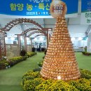 경남 함양에는 산양삼축제가 열림니다 이미지