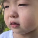 유람유치원 이미지