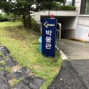 상명대학교박물관 | 상명대학교 박물관 &lt;포셀린 페인팅 교육&gt; 후기