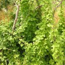 풍요농장 이미지