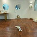 키스더도그/아르테미스 이미지