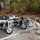 괴산올갱이 이미지